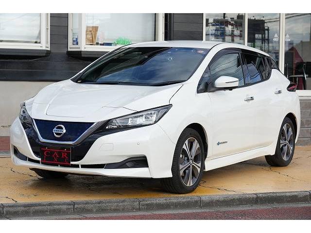 リーフ X Vセレクション プロパイロット デジタルインナーミラー ステアリングヒーター 純正ナビ フルセグTV Bluetoothオーディオ 全方位カメラ 衝突被害軽減ブレーキ レーンアシスト アクティブクルーズコントロール(19枚目)