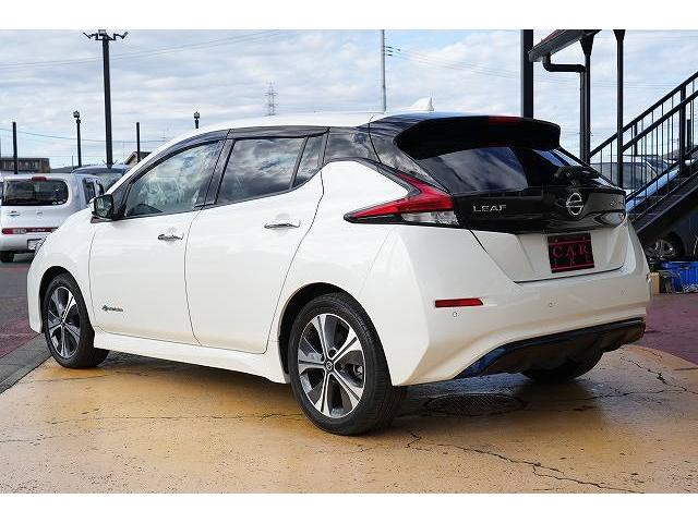 リーフ X Vセレクション プロパイロット デジタルインナーミラー ステアリングヒーター 純正ナビ フルセグTV Bluetoothオーディオ 全方位カメラ 衝突被害軽減ブレーキ レーンアシスト アクティブクルーズコントロール(21枚目)