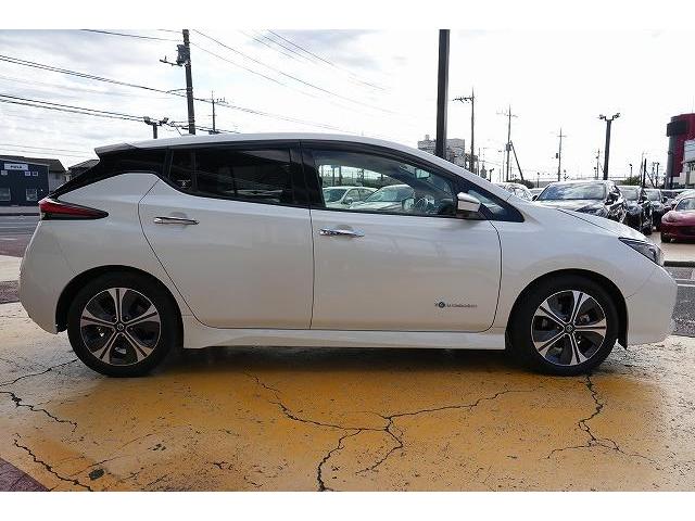 リーフ X Vセレクション プロパイロット デジタルインナーミラー ステアリングヒーター 純正ナビ フルセグTV Bluetoothオーディオ 全方位カメラ 衝突被害軽減ブレーキ レーンアシスト アクティブクルーズコントロール(24枚目)