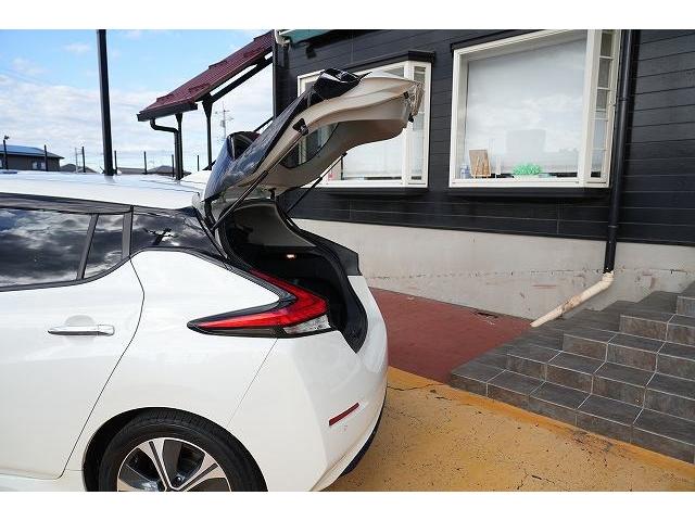 リーフ X Vセレクション プロパイロット デジタルインナーミラー ステアリングヒーター 純正ナビ フルセグTV Bluetoothオーディオ 全方位カメラ 衝突被害軽減ブレーキ レーンアシスト アクティブクルーズコントロール(41枚目)