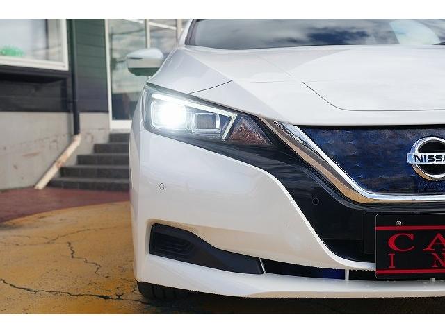 リーフ X Vセレクション プロパイロット デジタルインナーミラー ステアリングヒーター 純正ナビ フルセグTV Bluetoothオーディオ 全方位カメラ 衝突被害軽減ブレーキ レーンアシスト アクティブクルーズコントロール(48枚目)