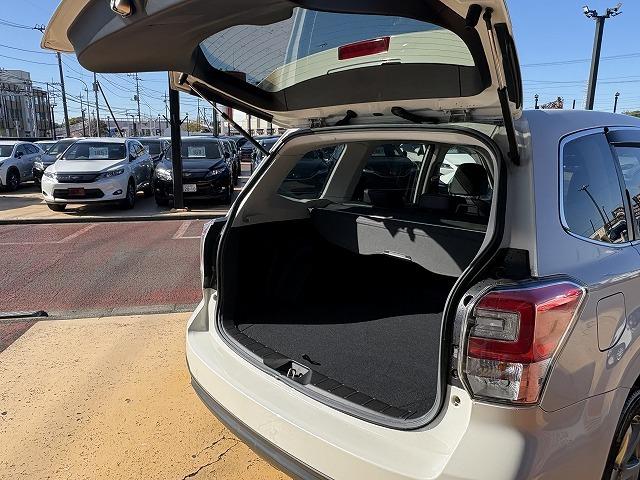 フォレスター ２．０ＸＴ　アイサイト　ブラインドスポット　ＳＴＩフロントリップ　純正７インチナビ　パドルシフト　バックカメラ　レーンアシスト　衝突被害軽減ブレーキ　Ｂｌｕｅｔｏｏｔｈオーディオ　フルセグ　社外アルミホイール　ＬＥＤライト（32枚目）