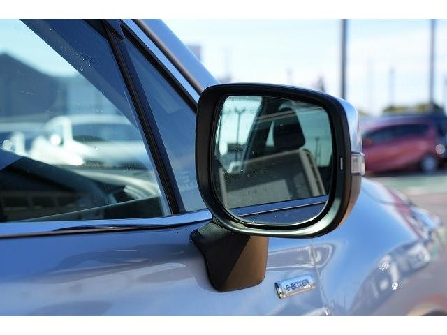 フォレスター アドバンス　４ＷＤ　衝突軽減ブレーキ　レーンアシスト　ブラインドスポット　純正８インチナビ　Ｂｌｕｅｔｏｏｔｈ　バックカメラ　フルセグ　アダプティブクルーズコントロール　純正１８ＡＷ　ＥＴＣ（29枚目）