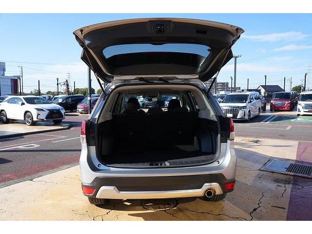 フォレスター アドバンス　４ＷＤ　衝突軽減ブレーキ　レーンアシスト　ブラインドスポット　純正８インチナビ　Ｂｌｕｅｔｏｏｔｈ　バックカメラ　フルセグ　アダプティブクルーズコントロール　純正１８ＡＷ　ＥＴＣ（38枚目）