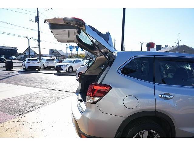 フォレスター アドバンス　４ＷＤ　衝突軽減ブレーキ　レーンアシスト　ブラインドスポット　純正８インチナビ　Ｂｌｕｅｔｏｏｔｈ　バックカメラ　フルセグ　アダプティブクルーズコントロール　純正１８ＡＷ　ＥＴＣ（40枚目）