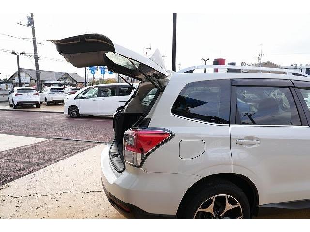 フォレスター Ｓ－リミテッド　衝突軽減ブレーキ　レーンアシスト　アダプティブクルーズコントロール　ブラインドスポット　純正ナビ　Ｂｌｕｅｔｏｏｔｈ　バックカメラ　フルセグ　純正アルミホイール　ビルトインＥＴＣ　パワーバックドア（37枚目）