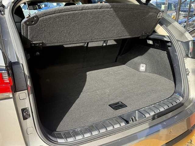 ＮＸ ＮＸ３００　バージョンＬ　サンルーフ　ブレーキサポート　レーンアシスト　クリアランスソナー　ブラインドスポット　レーダークルーズ　パワーバックドア　オートハイビーム　メーカーナビ　パノラミックビューモニター　ＥＴＣ２．０（44枚目）