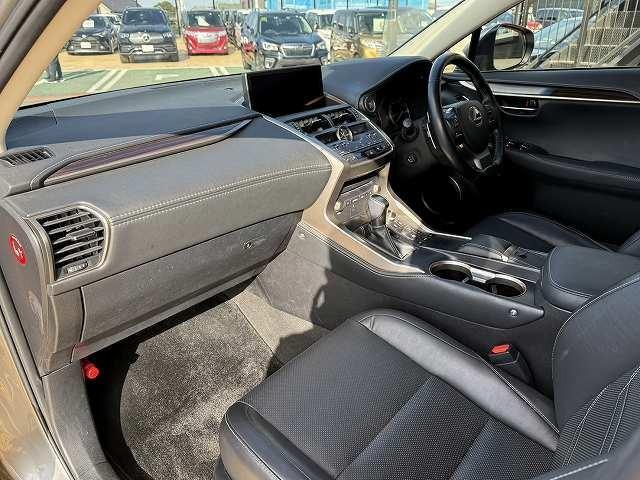 ＮＸ ＮＸ３００　バージョンＬ　サンルーフ　ブレーキサポート　レーンアシスト　クリアランスソナー　ブラインドスポット　レーダークルーズ　パワーバックドア　オートハイビーム　メーカーナビ　パノラミックビューモニター　ＥＴＣ２．０（49枚目）