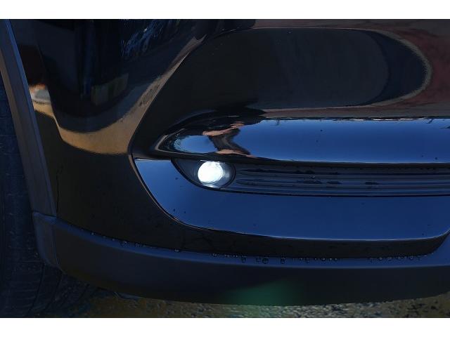 ＣＸ－８ ＸＤ　Ｌパッケージ　衝突軽減ブレーキ　レーンアシスト　へッドアップディスプレイ　ブラインドスポット　純正ナビ　Ｂｌｕｅｔｏｏｔｈ　バックカメラ　フルセグ　レーダークルコン　パワーバックドア　ＥＴＣ　ＬＥＤオートライト（54枚目）