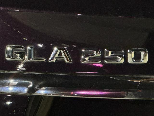 GLAクラス GLA250 4マチック スポーツ 4WD 禁煙 レ-ダ-セーフティ シ-トヒ-タ- ドラレコ TV ナビ Bカメラ(42枚目)