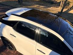 �ң� �ңأ������衡�ƥ��ݡ��ĥѥե����ޥ󥹡��ѥΥ�ޥ롼�ա����ףġ��������� 0403893A30251209W003 2