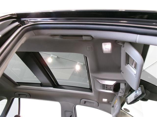 RAV4 アドベンチャー サンルーフ 4WD フルセグ メモリーナビ ミュージックプレイヤー接続可 バックカメラ 衝突被害軽減システム ETC ドラレコ LEDヘッドランプ 記録簿(13枚目)