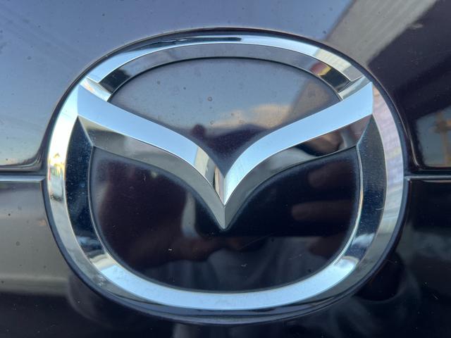 プレマシー ２０Ｓ－スカイアクティブ　／検：２年付／純ナビ／後席フリップダウン／フルセグ／Ｂｌｕｅｔｏｏｔｈ／左電動スライド／純１５ＡＷ／ＨＩＤ／ＥＴＣ／革ステア／スマキ－／ＡＵＴＯエアコン／ＭＴモ－ド／バイザ－／ＰＶガラス／Ｔチェ－ン（39枚目）