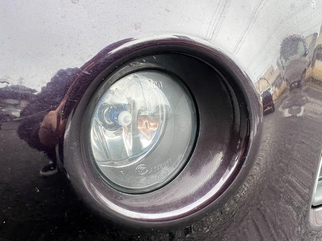 �t�����g�t�H�O�����v����������Ă���܂�����̈Â�����J�V���Ȃǎ��E�̈������ɓ����Ƃ炵�Ď��E���L���Ă����̂ő�������Ă���ƈ��S�ł��ˁ�