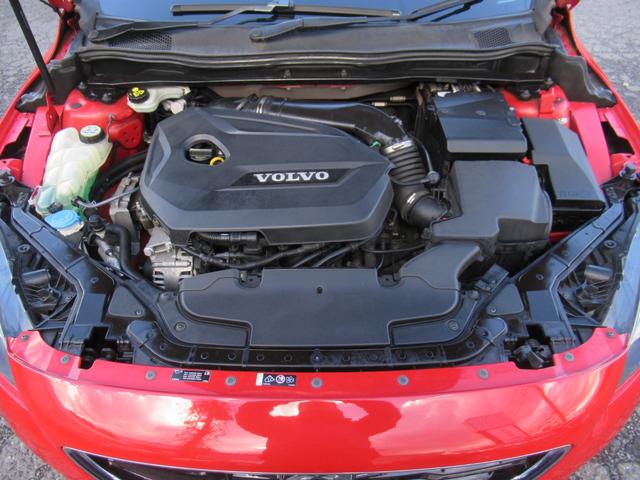 �����P�V�C���`�A���~�z�C�[������������Ă���܂���_�X�g�����K�����Ȃǂ����Ȃ��L���C�ȏ�Ԃł���{�f�B�[�͔w�i���f�荞�ޒ����₩�ŃL���C�ȏ�ԂɂȂ��Ă���܂���