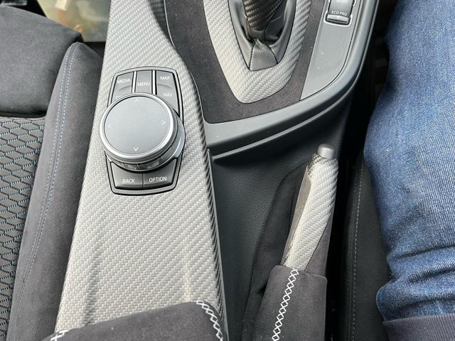 3シリーズ 320i xDrive Mスポーツ カーボンエアロ ETC 純正ナビ(32枚目)