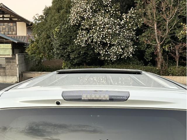 セレナ ライダー ナビTV Bカメラ ETC 両側電動ドア サンルーフ(44枚目)