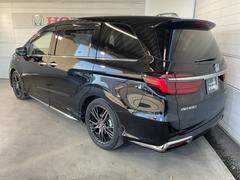 �ꥢ�����������ݤŤ���̣ţĥꥢ����ӥ͡��������פȥơ��륲���ȥ��ݥ��顼 6