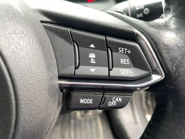 ＣＸ－３ ＸＤ　プロアクティブ　アダプティブクルーズコントロール／メモリーナビ／ＣＤ／バックカメラ／Ｂｌｕｅｔｏｏｔｈオーディオ／ＥＴＣ／ブラインドスポットモニター／盗難防止装置／衝突被害軽減ブレーキ／アクセル踏み間違い防止／（45枚目）