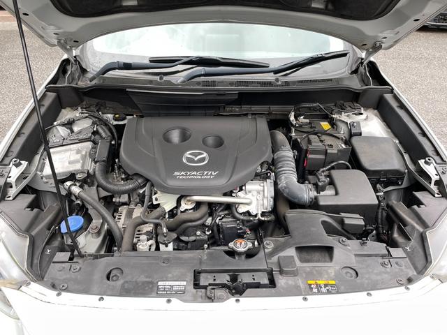 コーティングで綺麗にしてほしい、ドラレコは納車時からほしい、何なりとお申し付けください！