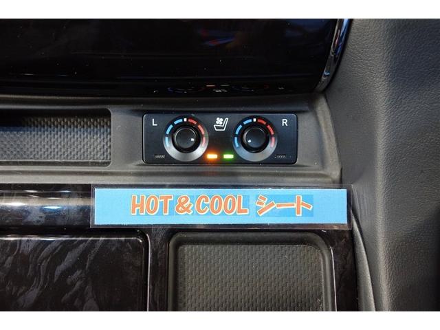 ヴェルファイア ２．５Ｚ　Ｇエディション　フルエアロ　本革電動シート　９型純正ナビ　フルセグＴＶ　ブルートゥース　ＤＶＤ再生　全周囲カメラ　ＥＴＣ　スマートキー　シートＡ／Ｃ　クルーズコントロール　ＬＥＤライト　両側電動ドア　電動バックドア（20枚目）