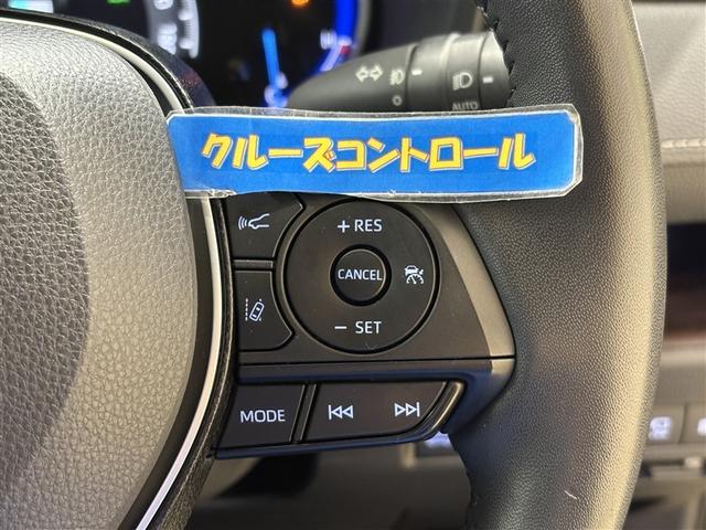 ＲＡＶ４ ハイブリッドＧ　衝突被害軽減装置　エアロ　バックモニター　整備記録簿　地デジＴＶ　ＬＥＤヘッドライト　スマキー　電動シ－ト　ＡＷＤ　ＴＶナビ　パワステ　横滑り防止装置　クルコン　ＡＡＣ　カーテンエアバック　エアバッグ（24枚目）