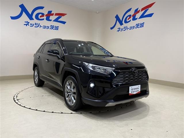 ＲＡＶ４ Ｇ　Ｚパッケージ　インテリジェントクリアランスソナー　整備記録簿　ＡＷＤ　ＬＥＤライト　アルミホイル　オートクルーズ　横滑り防止装置　バックガイドモニター　盗難防止装置　デュアルエアバッグ　メモリナビ　キーレス　ＡＢＳ（6枚目）