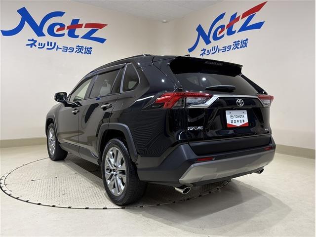 ＲＡＶ４ Ｇ　Ｚパッケージ　インテリジェントクリアランスソナー　整備記録簿　ＡＷＤ　ＬＥＤライト　アルミホイル　オートクルーズ　横滑り防止装置　バックガイドモニター　盗難防止装置　デュアルエアバッグ　メモリナビ　キーレス　ＡＢＳ（10枚目）