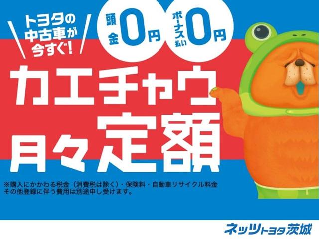 100G レザーパッケージ スマートキー オートエアコン(58枚目)