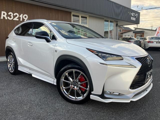 ＮＸ ＮＸ２００ｔ　Ｆスポーツ　赤革　ＡＩＭＧＡＩＮエアロ　フルエアロ　三眼ＬＥＤヘッドライト　追従クルコン　プリクラッシュセーフティ　電子パーキング　シートヒーター＆ベンチレーション　社外２０インチＡＷ　スマートキー（9枚目）