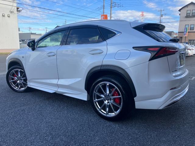 ＮＸ ＮＸ２００ｔ　Ｆスポーツ　赤革　ＡＩＭＧＡＩＮエアロ　フルエアロ　三眼ＬＥＤヘッドライト　追従クルコン　プリクラッシュセーフティ　電子パーキング　シートヒーター＆ベンチレーション　社外２０インチＡＷ　スマートキー（10枚目）