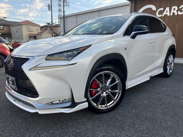 ＮＸ ＮＸ２００ｔ　Ｆスポーツ　赤革　ＡＩＭＧＡＩＮエアロ　フルエアロ　三眼ＬＥＤヘッドライト　追従クルコン　プリクラッシュセーフティ　電子パーキング　シートヒーター＆ベンチレーション　社外２０インチＡＷ　スマートキー（13枚目）