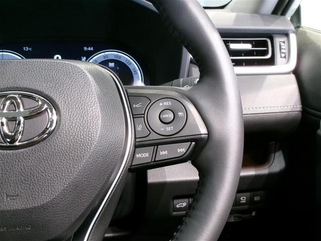 ＲＡＶ４ ハイブリッドＧ　サンルーフ　４ＷＤ　フルセグ　メモリーナビ　ミュージックプレイヤー接続可　バックカメラ　衝突被害軽減システム　ＥＴＣ　ＬＥＤヘッドランプ　記録簿（11枚目）