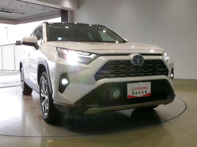 ＲＡＶ４ ハイブリッドＧ　サンルーフ　４ＷＤ　フルセグ　メモリーナビ　ミュージックプレイヤー接続可　バックカメラ　衝突被害軽減システム　ＥＴＣ　ＬＥＤヘッドランプ　記録簿（19枚目）