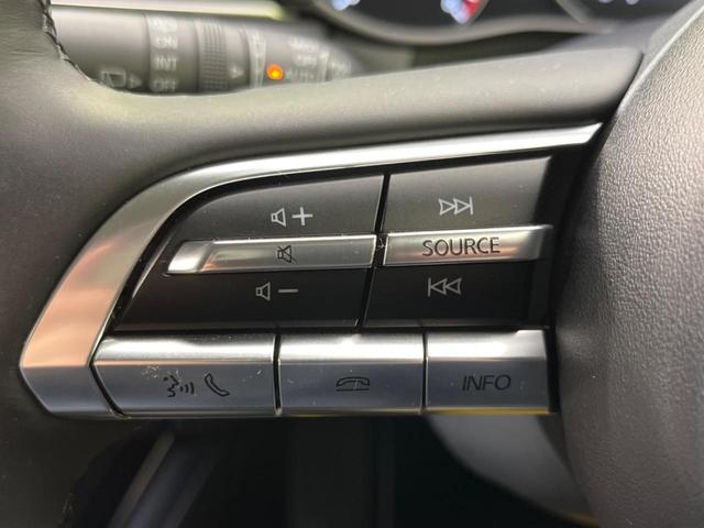 20S プロアクティブ スマートブレーキサポート 純正ナビ 禁煙車 レーダクルーズ 全周囲カメラ Bluetooth再生 フルセグTV LEDヘッドライト パワーバックドア クリアランスソナー オートマチックハイビーム(41枚目)