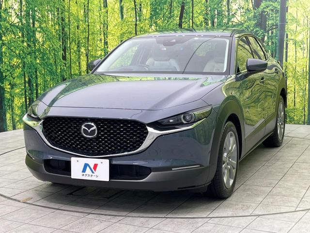 20S プロアクティブ スマートブレーキサポート 純正ナビ 禁煙車 レーダクルーズ 全周囲カメラ Bluetooth再生 フルセグTV LEDヘッドライト パワーバックドア クリアランスソナー オートマチックハイビーム(42枚目)