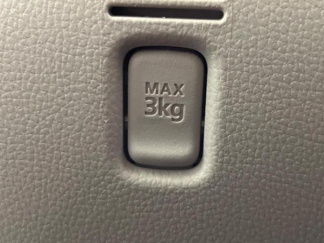 デイズルークス Ｓ　ＳＤナビ　禁煙車　ＥＴＣ　電動格納ミラー　地デジ　プライバシーガラス　ドアバイザー　アイドリングストップ　衝突安全ボディ　盗難防止システム（36枚目）