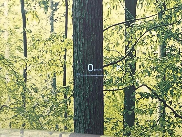 ハリアー Z モデリスタ JBLサウンド付純正12型ナビ 全周囲カメラ セーフティセンス 禁煙車 ブラインドスポットモニター デジタルインナーミラー パワーバックドア ETC2.0 クリアランスソナー(54枚目)