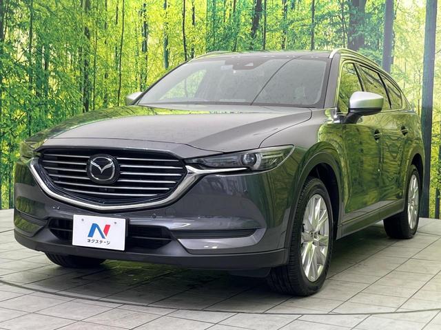 ＣＸ－８ ＸＤプロアクティブ　ディーゼル　後席モニター　純正８型ナビ　全周囲カメラ　シティブレーキ　禁煙車　電動リアゲート　ステアリングヒーター　パワーシート　前席シートヒーター　コーナーセンサー　スマートキー　ＬＥＤヘッド（52枚目）