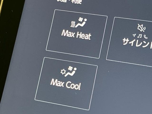 アルファードハイブリッド Ｚ　ガラスルーフ　後席モニター　純正１４型ナビ　全周囲カメラ　トヨタチームメイト　両側電動ドア　前中席シートベンチレーション　ステアリングヒーター　置くだけ充電　ブラインドスポットモニター　ＥＴＣ２．０（31枚目）