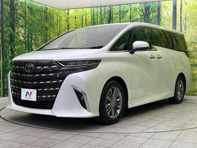 アルファードハイブリッド Ｚ　ガラスルーフ　後席モニター　純正１４型ナビ　全周囲カメラ　トヨタチームメイト　両側電動ドア　前中席シートベンチレーション　ステアリングヒーター　置くだけ充電　ブラインドスポットモニター　ＥＴＣ２．０（71枚目）