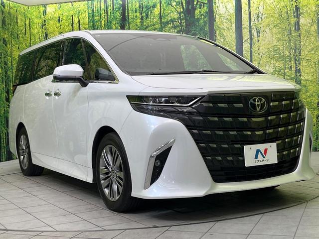 アルファードハイブリッド Ｚ　ガラスルーフ　後席モニター　純正１４型ナビ　全周囲カメラ　トヨタチームメイト　両側電動ドア　前中席シートベンチレーション　ステアリングヒーター　置くだけ充電　ブラインドスポットモニター　ＥＴＣ２．０（72枚目）