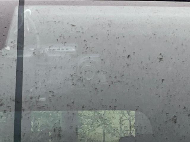 セレナ ハイウェイスター　Ｖセレクション　後席モニター　純正ナビ　バックカメラ　両側電動ドア　クルーズコントロール　禁煙車　ＥＴＣ　Ｂｌｕｅｔｏｏｔｈ接続　スマートキー　電動格納ミラー　衝突安全ボディ　アイドリングストップ（53枚目）