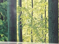 ڥإåɥåץǥץ쥤۸ߤ®٤ԾǥɽǱžΥ饹ơž桢򤺤餵ɬפʾǧǤΤǤȤäƤǰ¿ 7