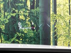 ڥ顼إåɥåץǥץ쥤۸ߤ®٤ԾǥɽǱžΥ饹ơ顼դǻǧ⤯ž򤺤餵ɬפʾǧǤΤǤȤäƤǰ¿ 7