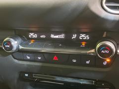 �ڥ����ȥҡ������۴������˽������륷���ȥҡ������������������᤯���ޤäƤ����ΤǴ�����οͤ�¿��Ǥ��͢���������β����ϴ��礹�뤫���ꡢ�Ȥ������ˤ�򤪤�����Ǥ��� 6