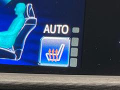 �ڥ����ȥҡ������۴������˽������륷���ȥҡ������������������᤯���ޤäƤ����ΤǴ�����οͤ�¿��Ǥ��͢���������β����ϴ��礹�뤫���ꡢ�Ȥ������ˤ�򤪤�����Ǥ��� 6