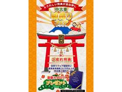 ������Ԥ�¿������뤤���̣ţĥ饤�� 6