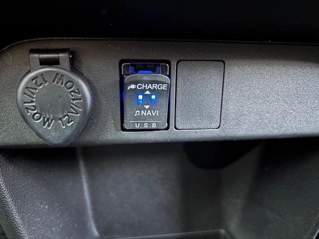 ムーヴキャンバス Ｇメイクアップリミテッド　ＳＡＩＩＩ（47枚目）