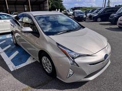 �ץꥦ�� �ӥ����եƥ��ץ饹���ʥӡ��ԣ֡��Хå�����顡�ţԣ� 0404193A20250918W005 4